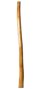 Gloss Finish Didgeridoo (TW982)